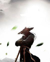 讨厌魔族的人类英雄怎么会有甩都甩不开的魔族后宫